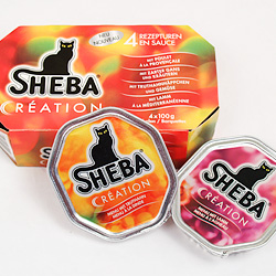 Sheba bis Sommer 2005