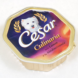 Cesar ab Frühjahr 2005 Cesar ab Frühjahr 2005