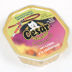 Cesar bis Frühjahr 2005 Cesar bis Frühjahr 2005